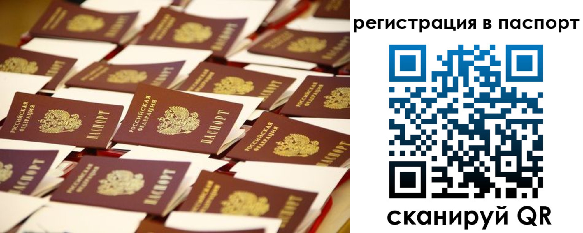 прописка гарантия в Черноголовке